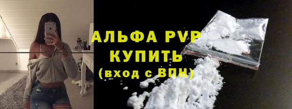 индика Няндома