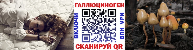 Галлюциногенные грибы Cubensis  хочу наркоту  Ступино 